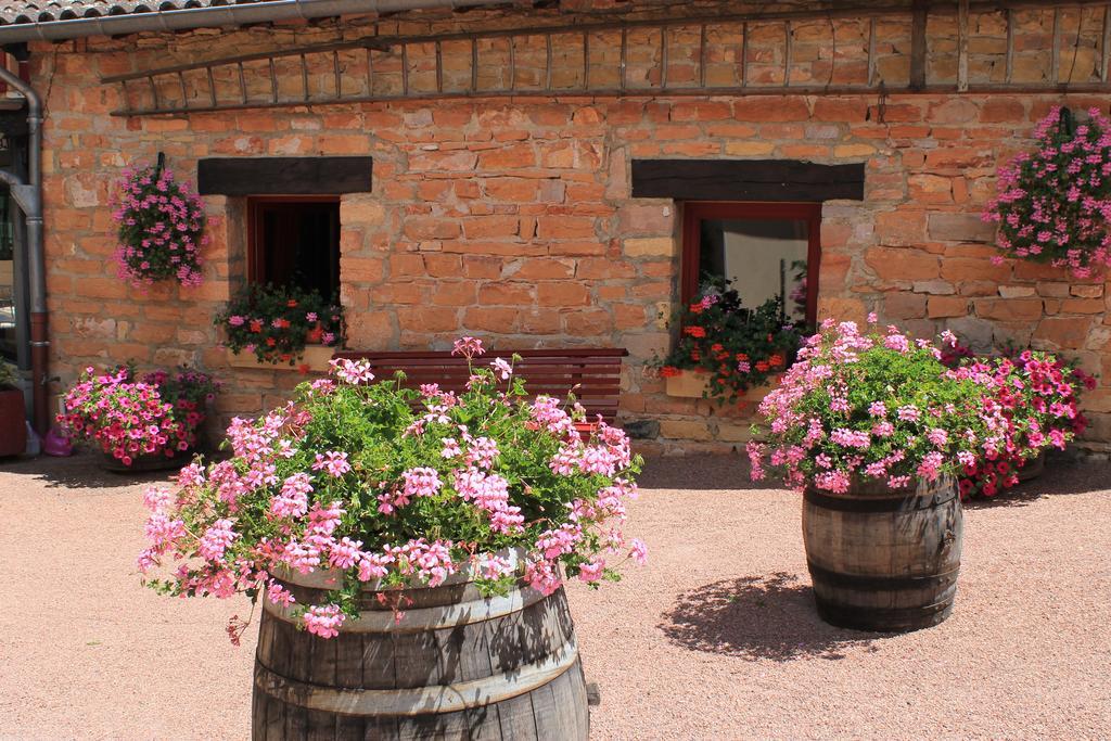 Hotel Restaurant Le Moulin De Saint Verand エクステリア 写真