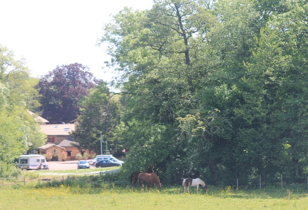 Hotel Restaurant Le Moulin De Saint Verand エクステリア 写真
