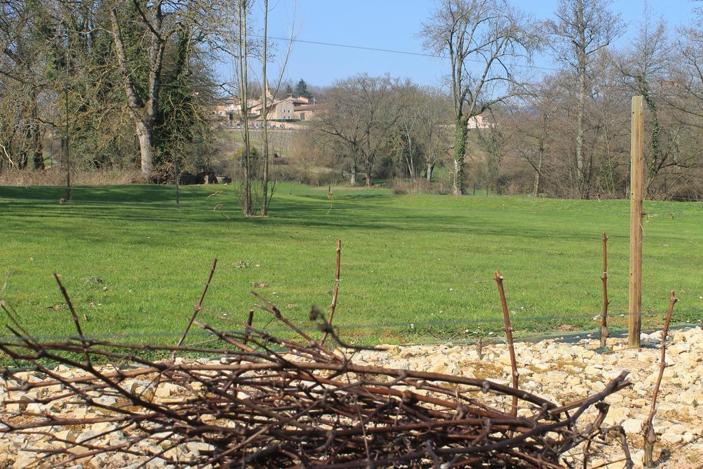 Hotel Restaurant Le Moulin De Saint Verand エクステリア 写真