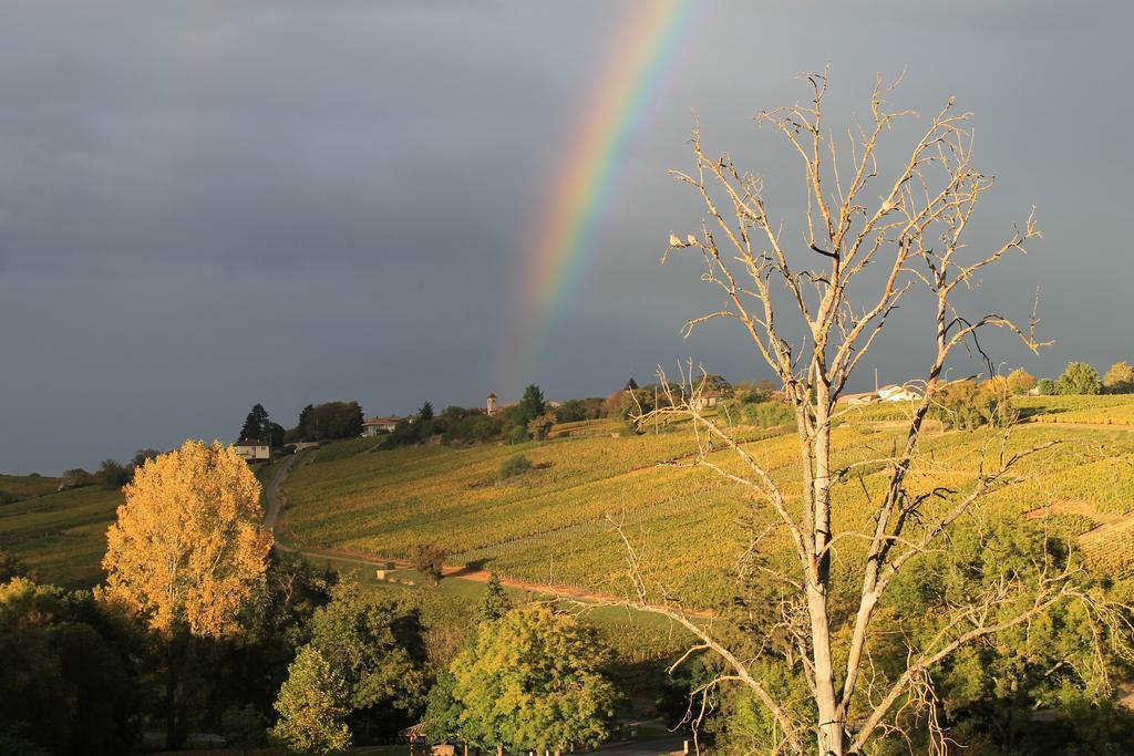 Hotel Restaurant Le Moulin De Saint Verand エクステリア 写真