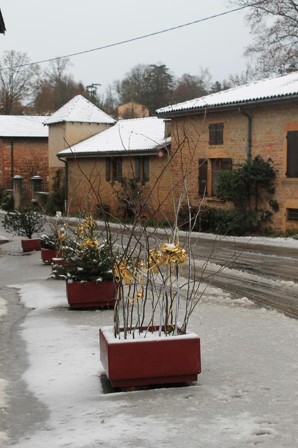 Hotel Restaurant Le Moulin De Saint Verand エクステリア 写真